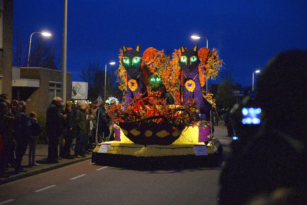 ../Images/Bloemencorso Noordwijkerhout 179.jpg